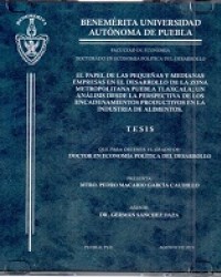 El papel de las pequeñas y medianas empresas en el desarrollo de la zona metropolitana Puebla Tlaxcala; un análisis desde la perspectiva de los encadenamientos productivos en la industria de alimentos 